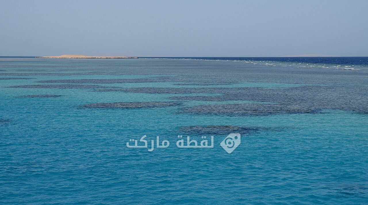 رحلة سنوركل في البحر الأحمر من جدة
